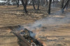 Incendi de severitat extrema al Parc Natural del Sud-oest Alentejano i Costa Vicentina / Foto: Paulo Fernandes